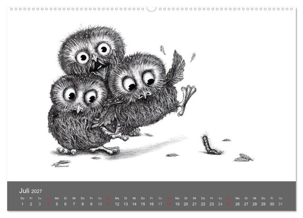 owls & friends 2027 (CALVENDO Premium Wandkalender 2027)