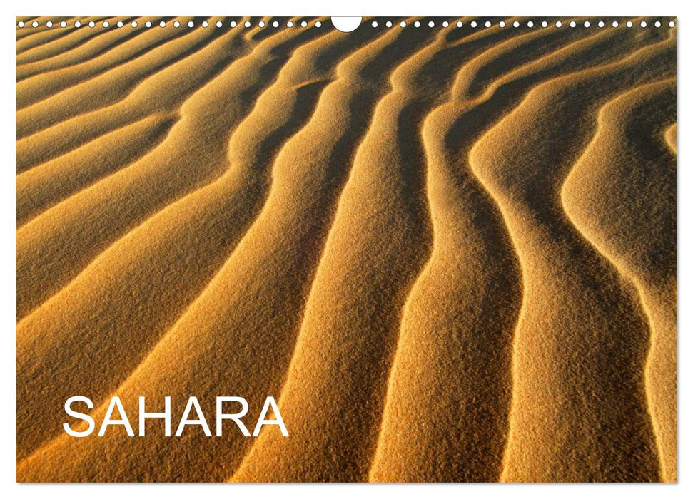 SAHARA (CALVENDO Wandkalender 2027)