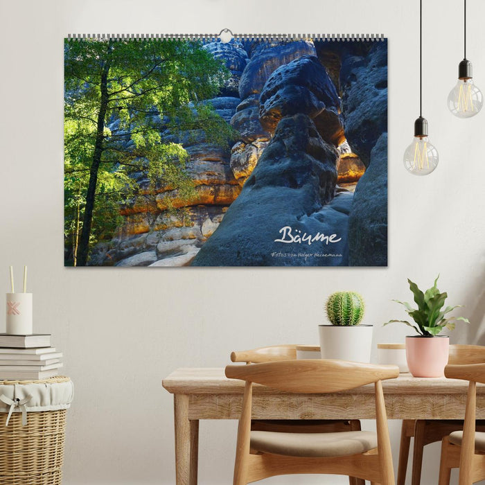 Bäume (CALVENDO Wandkalender 2027)