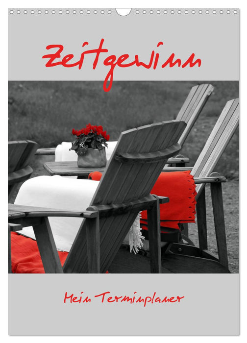 Zeitgewinn (Mein Terminplaner) (CALVENDO Wandkalender 2027)