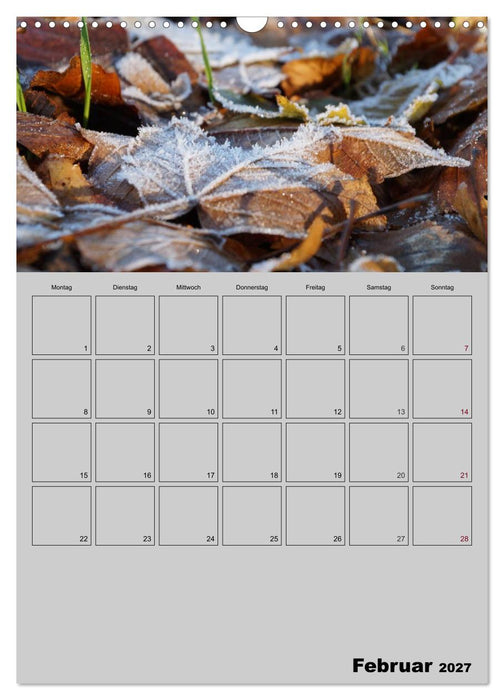 Zeitgewinn (Mein Terminplaner) (CALVENDO Wandkalender 2027)