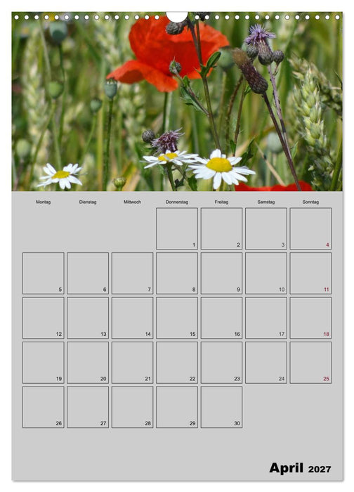 Zeitgewinn (Mein Terminplaner) (CALVENDO Wandkalender 2027)
