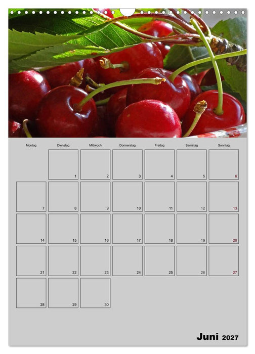Zeitgewinn (Mein Terminplaner) (CALVENDO Wandkalender 2027)