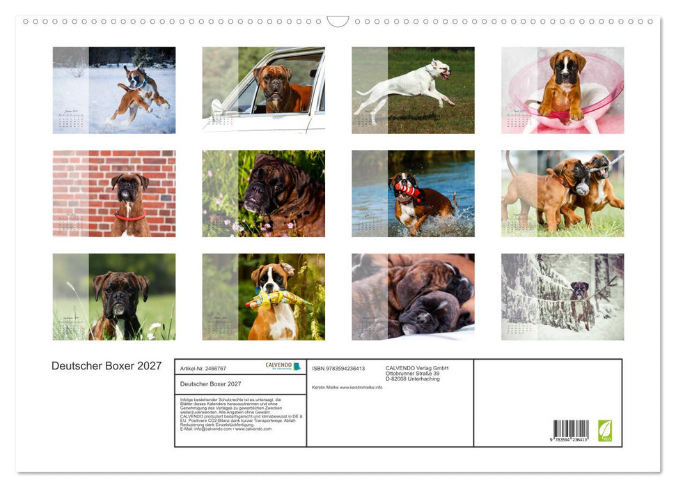Deutscher Boxer 2027 (CALVENDO Wandkalender 2027)