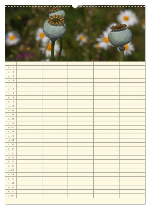 Der Naturgarten Familienplaner (CALVENDO Premium Wandkalender 2027)