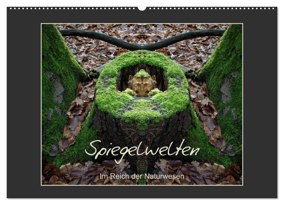 Spiegelwelten - Im Reich der Naturwesen (CALVENDO Wandkalender 2027)