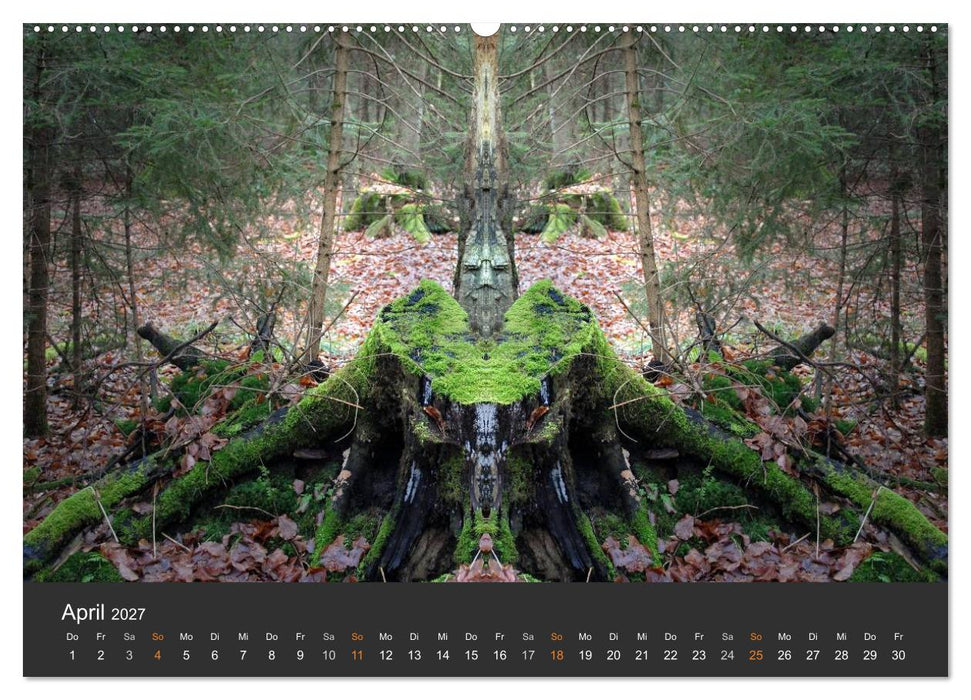 Spiegelwelten - Im Reich der Naturwesen (CALVENDO Wandkalender 2027)