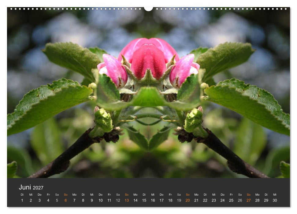 Spiegelwelten - Im Reich der Naturwesen (CALVENDO Wandkalender 2027)