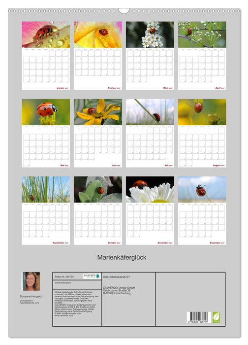 Marienkäferglück (CALVENDO Wandkalender 2027)
