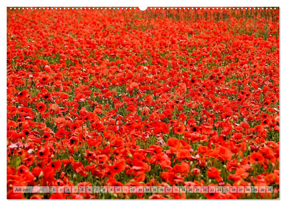 Voll Mohn (CALVENDO Premium Wandkalender 2027)
