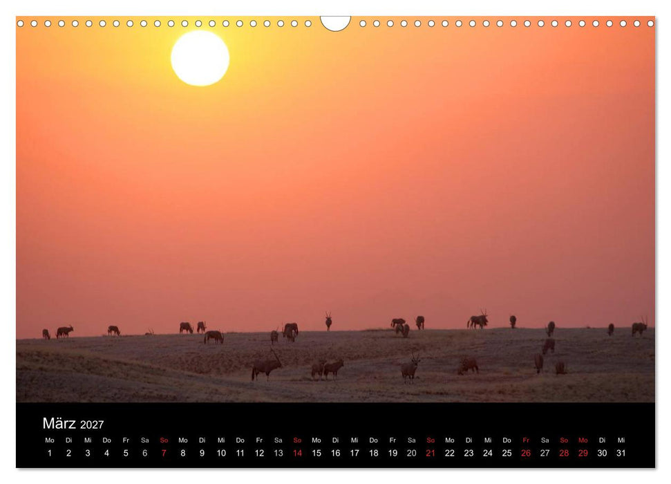 Eindrücke aus Namibia (CALVENDO Wandkalender 2027)