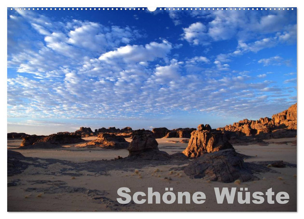 Schöne Wüste (CALVENDO Wandkalender 2027)
