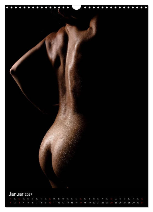 WET AND WILD GIRLS CALENDAR (CALVENDO Wandkalender 2027)