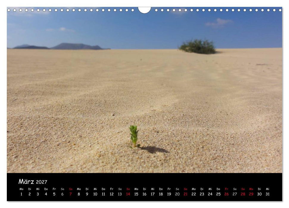 Fuerteventura - karge Schönheit (CALVENDO Wandkalender 2027)