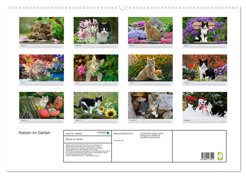 Katzen im Garten (CALVENDO Wandkalender 2027)
