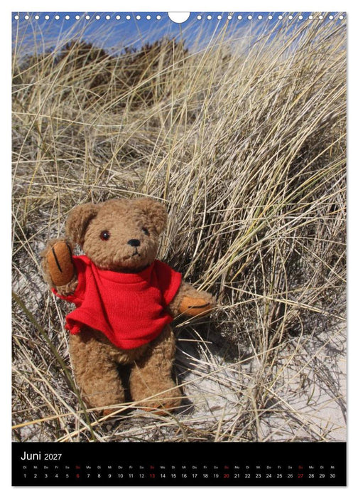 Zaubärhafte Seelentröster (CALVENDO Wandkalender 2027)