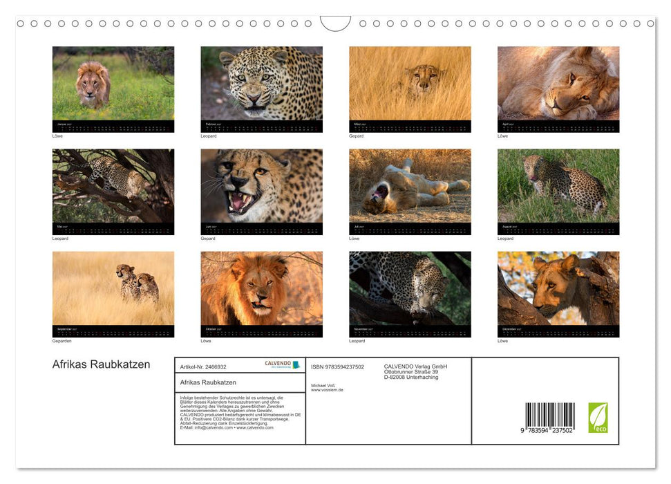 Afrikas Raubkatzen (CALVENDO Wandkalender 2027)