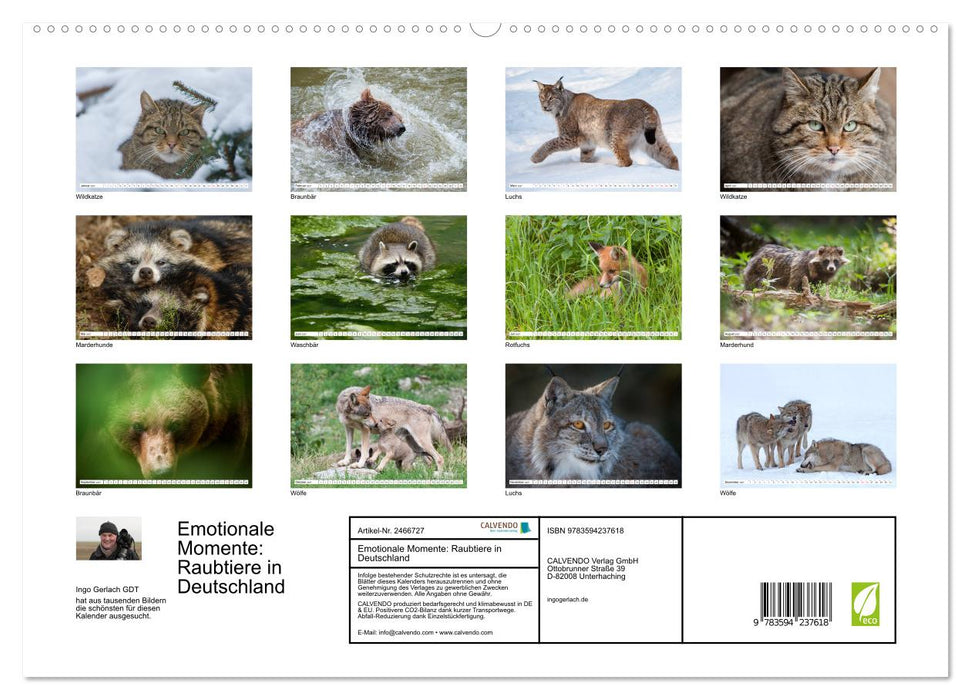 Emotionale Momente: Raubtiere in Deutschland (CALVENDO Premium Wandkalender 2027)