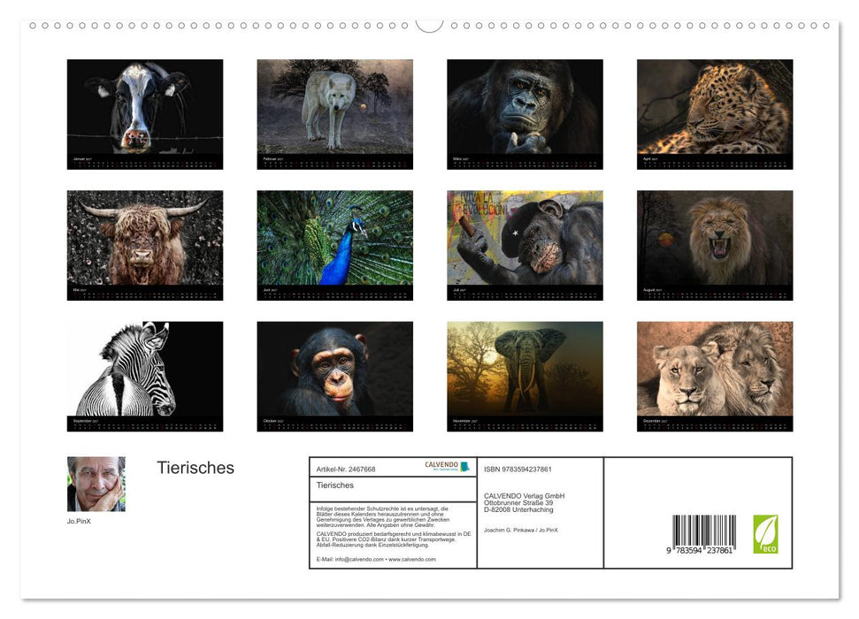 Tierisches (CALVENDO Premium Wandkalender 2027)