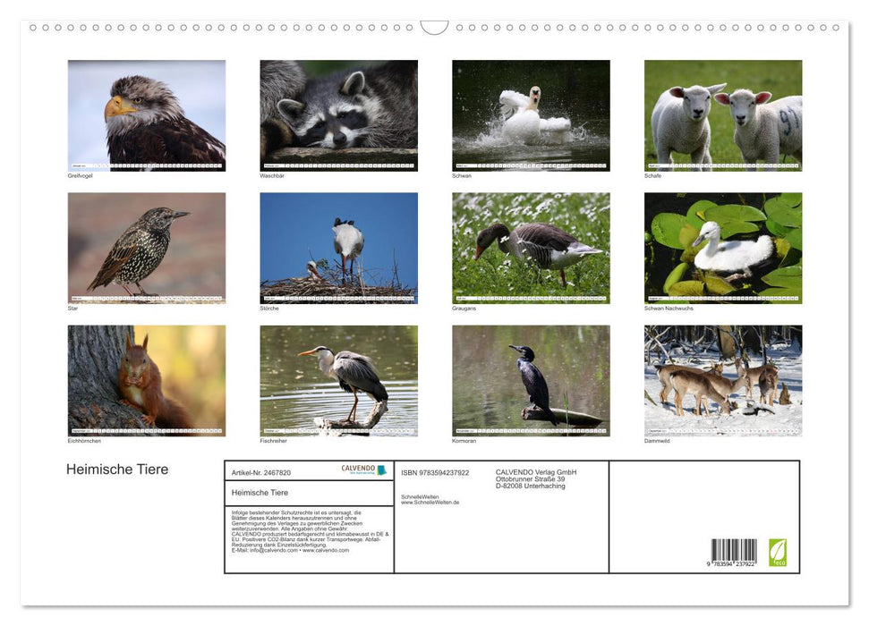 Heimische Tiere (CALVENDO Wandkalender 2027)