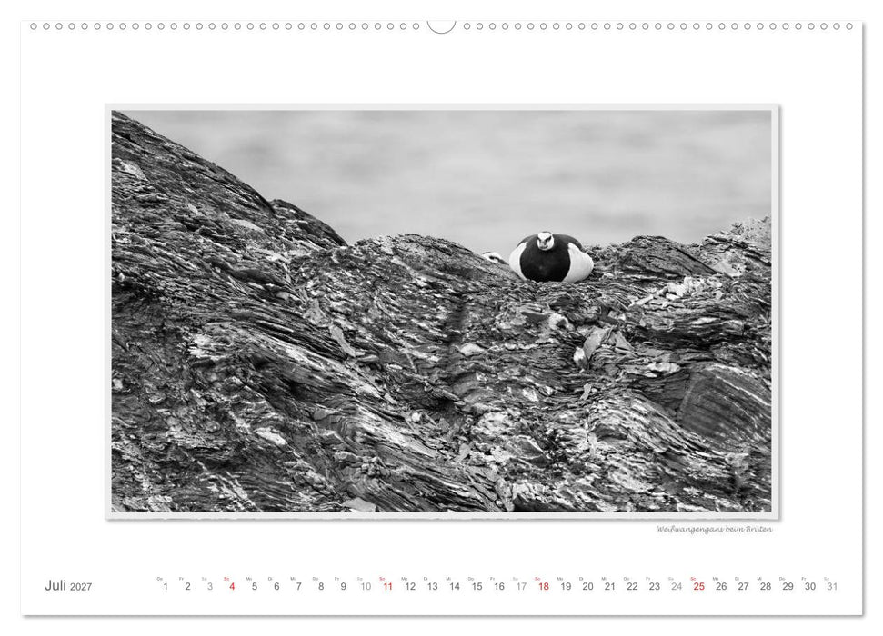 Spitzbergen Svalbard (CALVENDO Premium Wandkalender 2027)