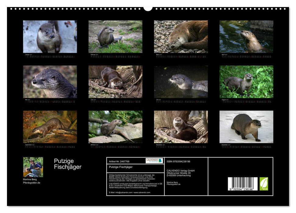 Putzige Fischjäger (CALVENDO Premium Wandkalender 2027)