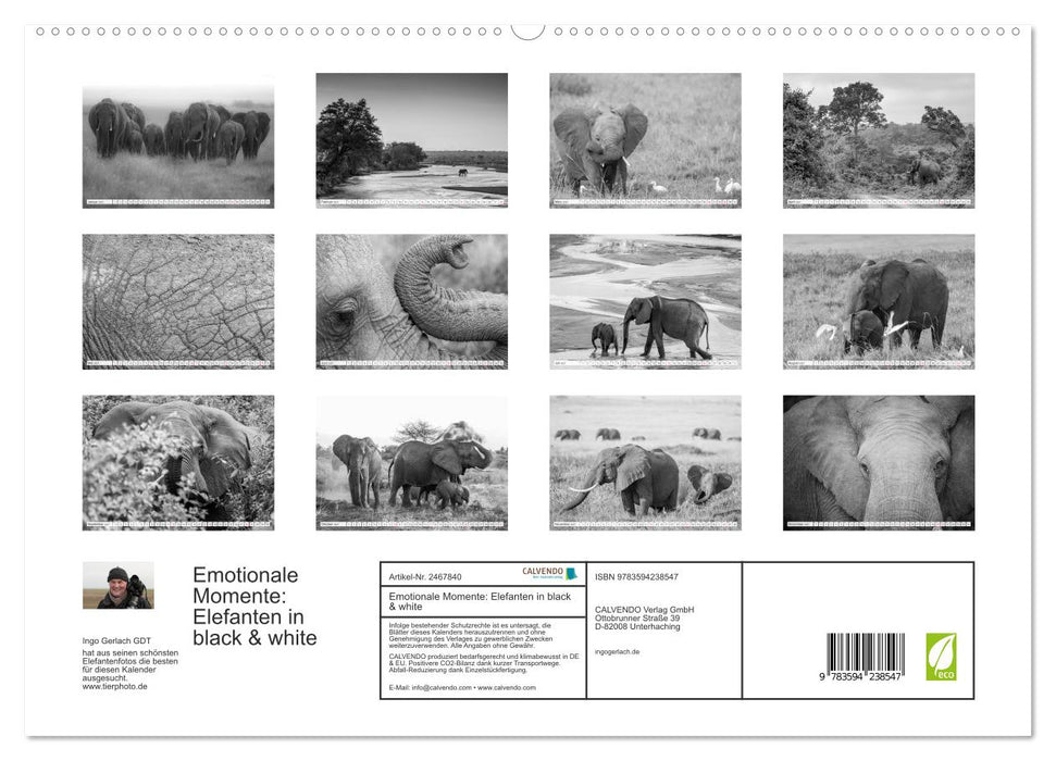 Emotionale Momente: Elefanten in black & white (CALVENDO Premium Wandkalender 2027)