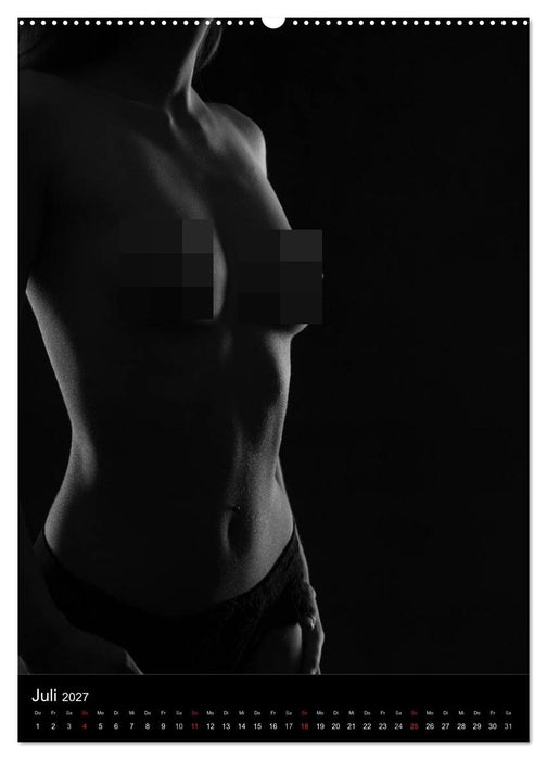 Erotische Silhouetten (CALVENDO Premium Wandkalender 2027)