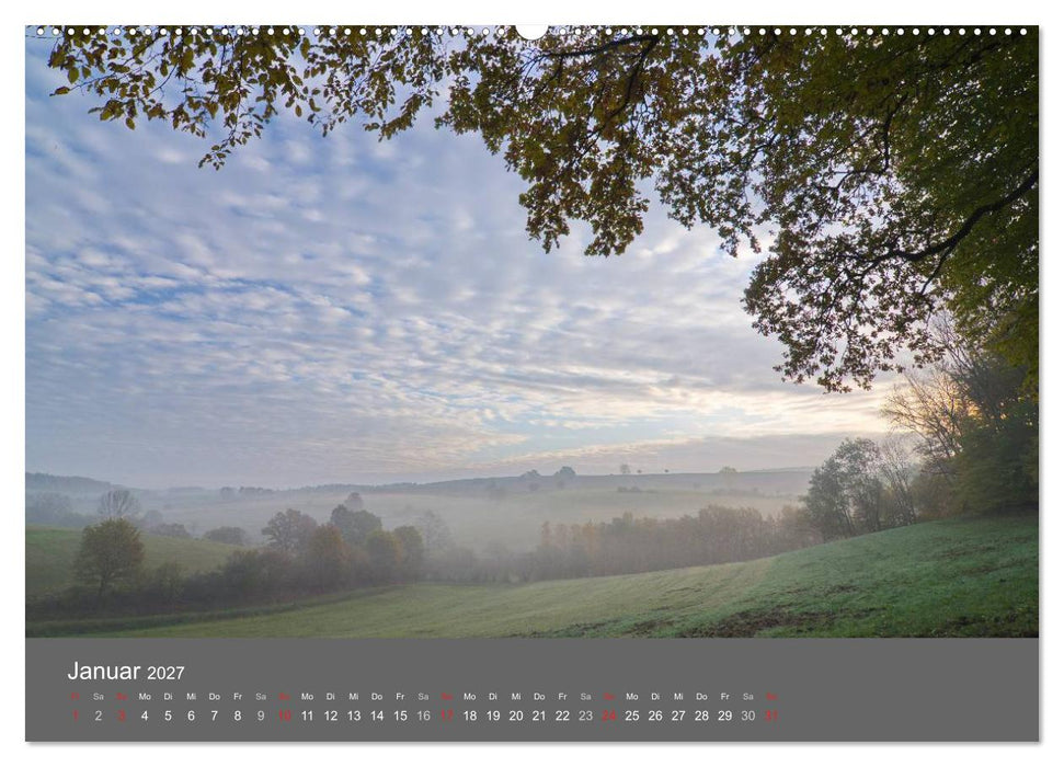 Bäume (CALVENDO Premium Wandkalender 2027)