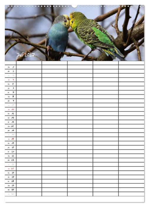 Wellensittiche (CALVENDO Premium Wandkalender 2027)