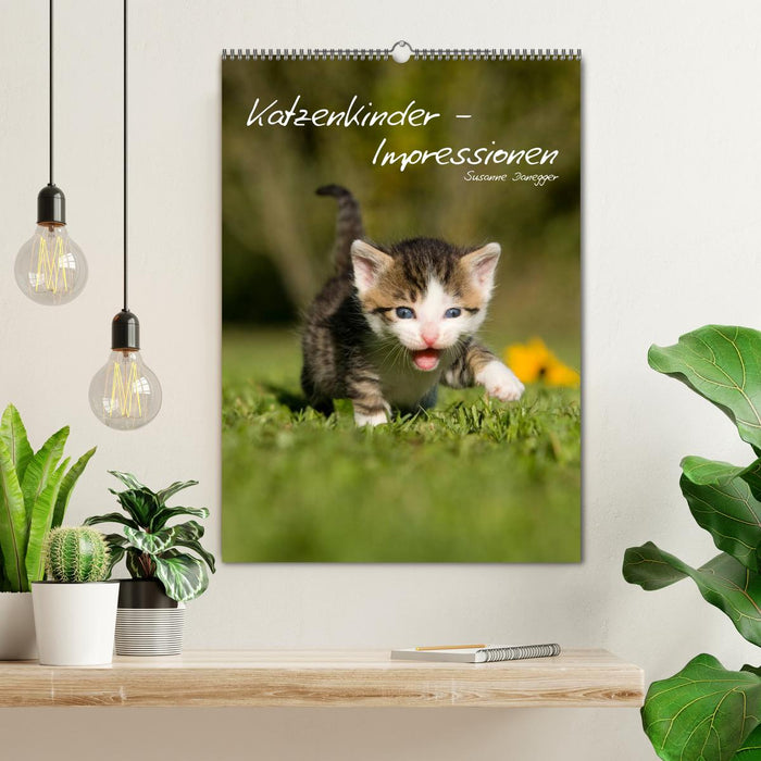 Katzenkinder - Impressionen (CALVENDO Wandkalender 2027)