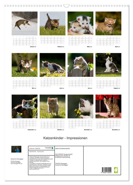 Katzenkinder - Impressionen (CALVENDO Wandkalender 2027)