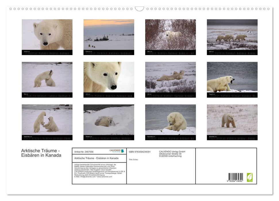 Arktische Träume - Eisbären in Kanada (CALVENDO Wandkalender 2027)