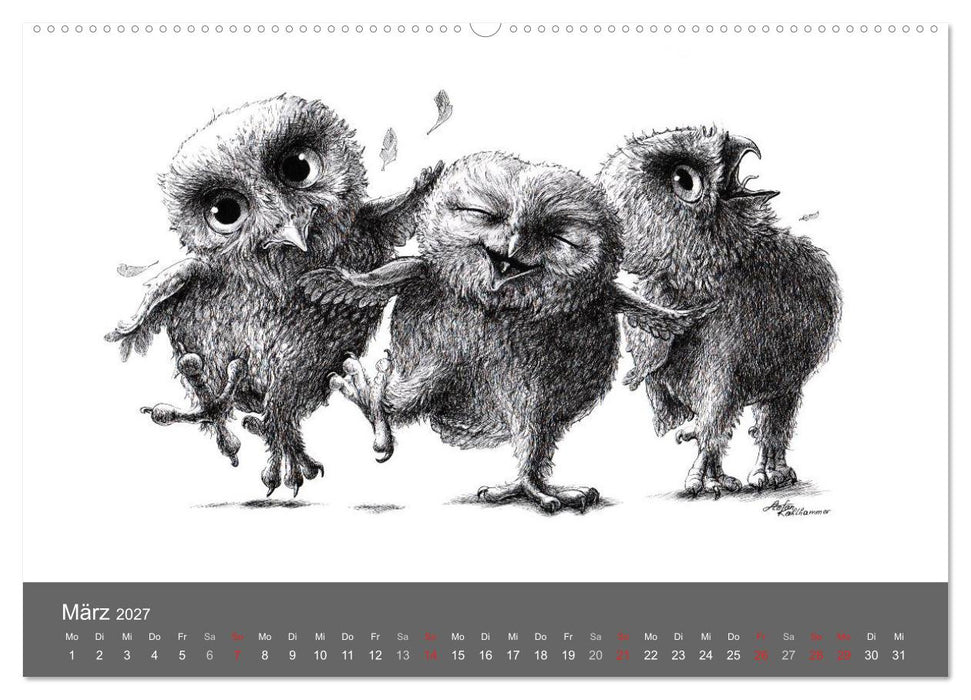 owls & friends 2027 (CALVENDO Wandkalender 2027)