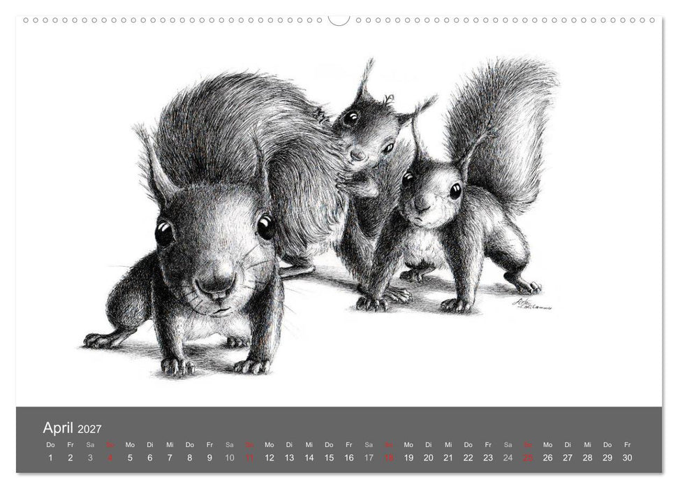 owls & friends 2027 (CALVENDO Wandkalender 2027)