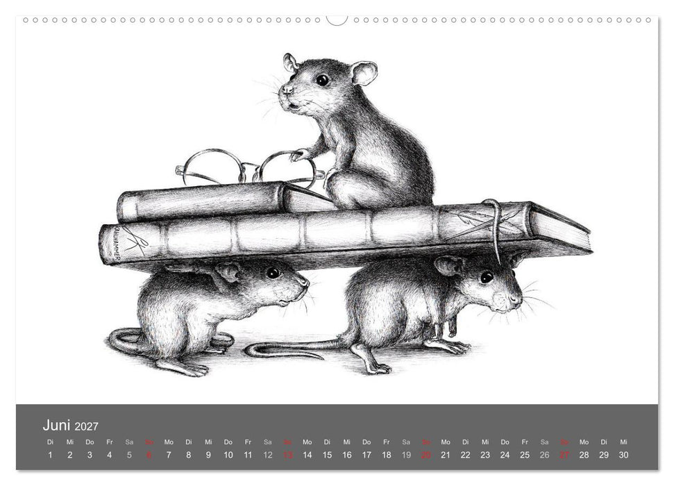 owls & friends 2027 (CALVENDO Wandkalender 2027)