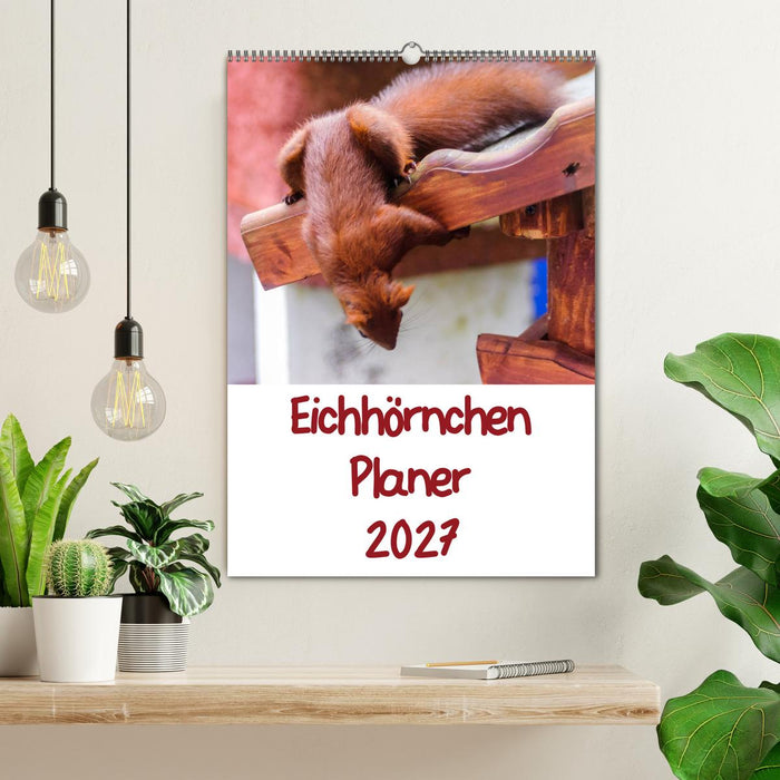 Eichhörnchen Planer 2027 (CALVENDO Wandkalender 2027)