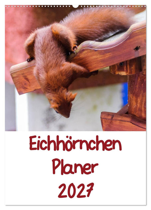 Eichhörnchen Planer 2027 (CALVENDO Wandkalender 2027)