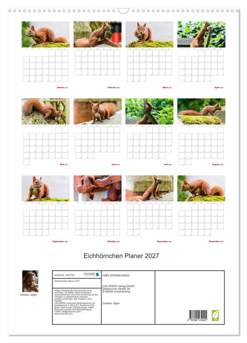 Eichhörnchen Planer 2027 (CALVENDO Wandkalender 2027)