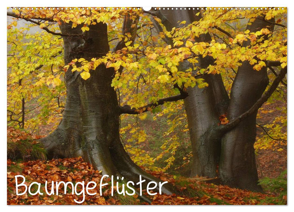 Baumgeflüster (CALVENDO Wandkalender 2027)