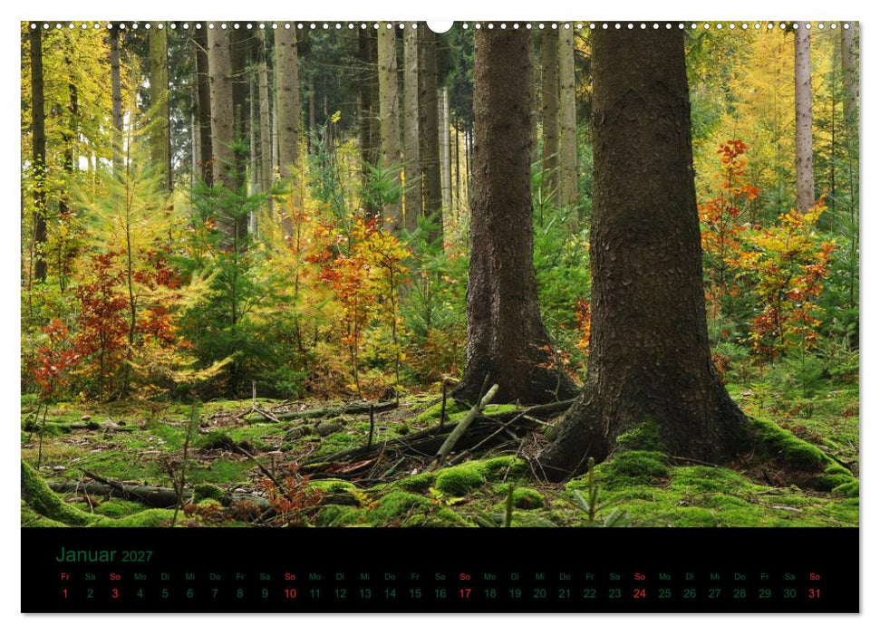 Baumgeflüster (CALVENDO Wandkalender 2027)