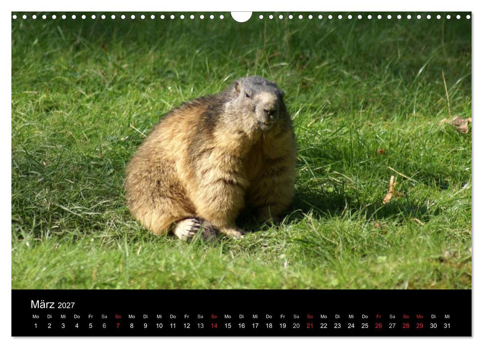 Die Welt der Berge (CALVENDO Wandkalender 2027)