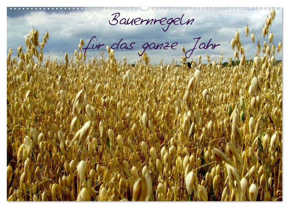 Bauernregeln für das ganze Jahr (CALVENDO Wandkalender 2027)