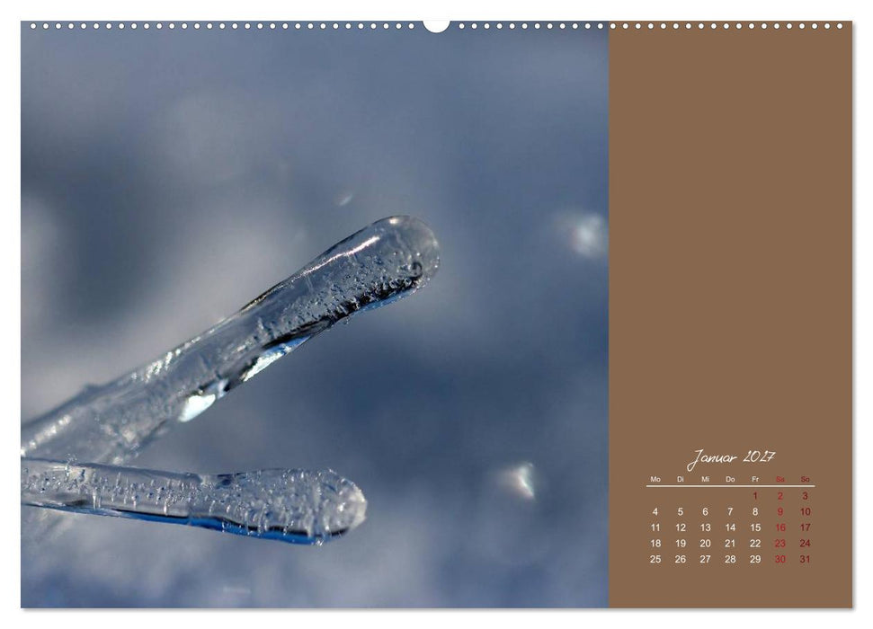 Bauernregeln für das ganze Jahr (CALVENDO Wandkalender 2027)