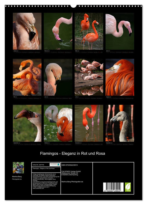 Flamingos - Eleganz in Rot und Rosa (CALVENDO Premium Wandkalender 2027)