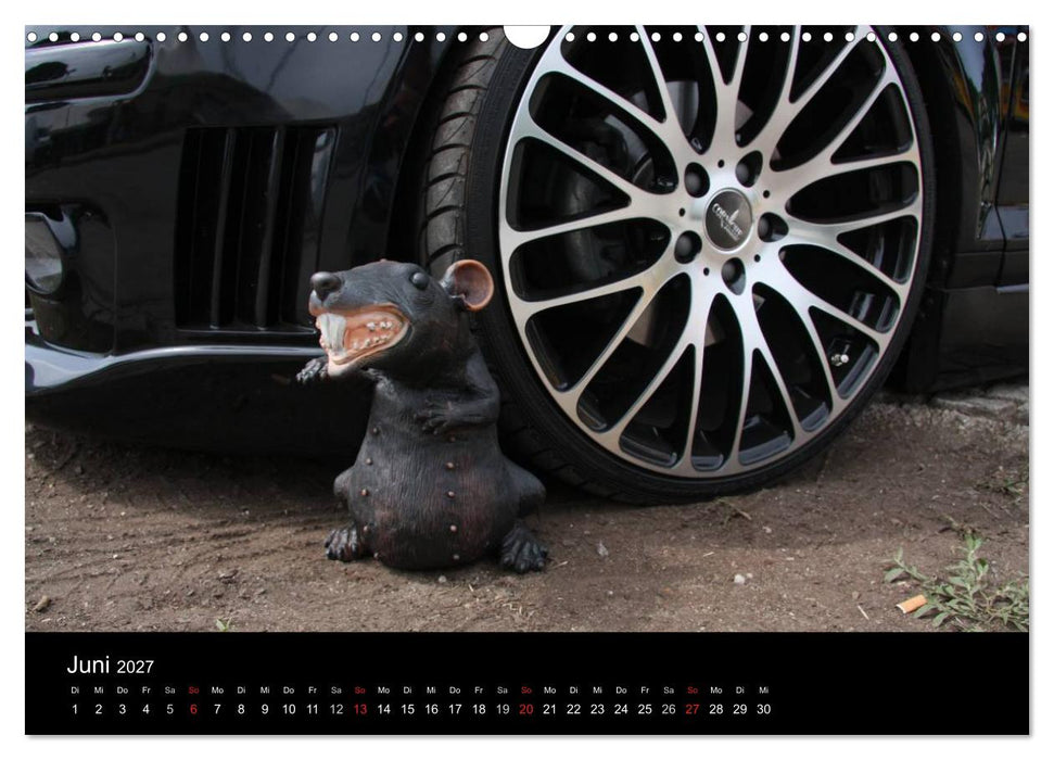 Burnout am Wörthersee (CALVENDO Wandkalender 2027)