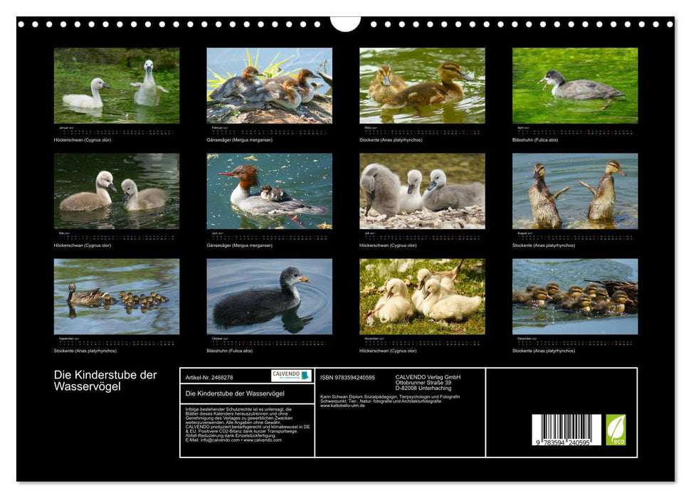 Die Kinderstube der Wasservögel (CALVENDO Wandkalender 2027)