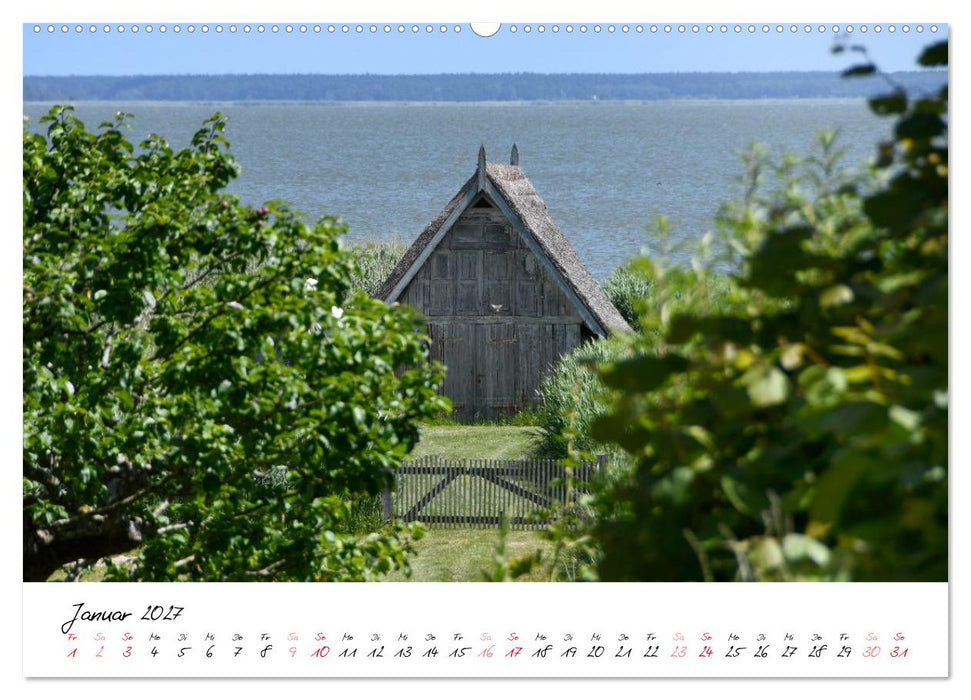 Ostsee-Strand (CALVENDO Premium Wandkalender 2027)