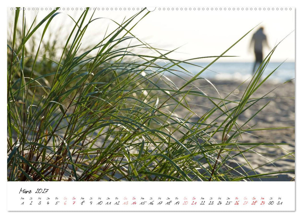 Ostsee-Strand (CALVENDO Premium Wandkalender 2027)