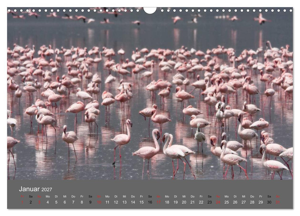 Ich träumte von Afrika (CALVENDO Wandkalender 2027)